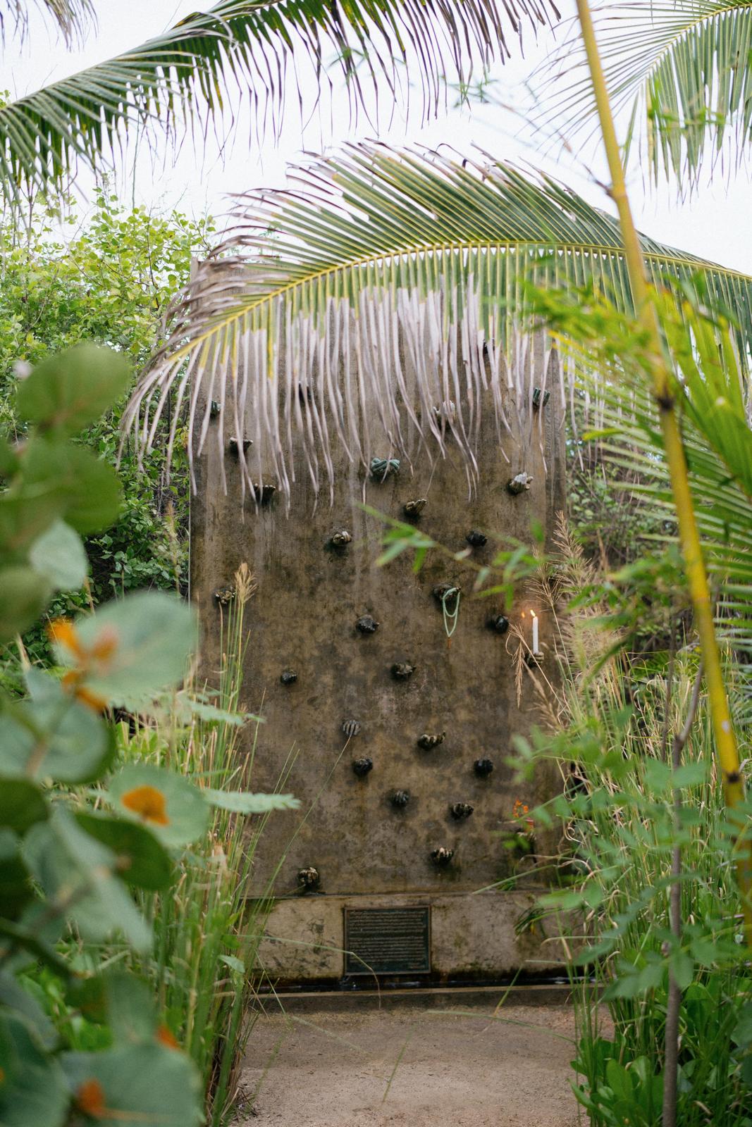 Ofrendas — through the garden